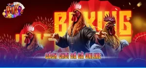 cách chơi đá gà online