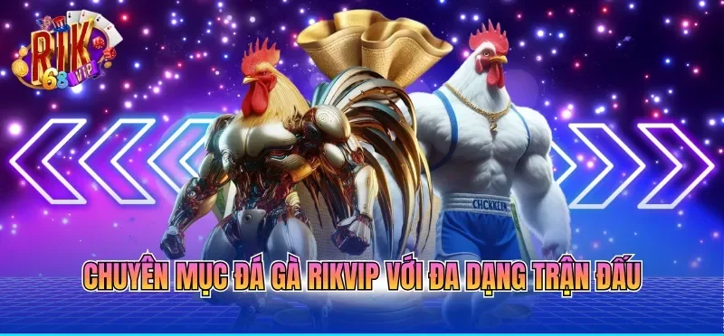 Chuyên mục đá gà RIKVIP với đa dạng trận đấu