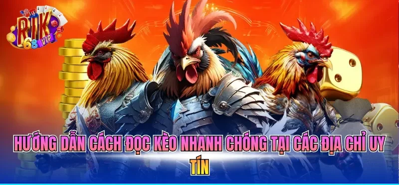 Hướng dẫn cách đọc kèo nhanh chóng tại các địa chỉ uy tín
