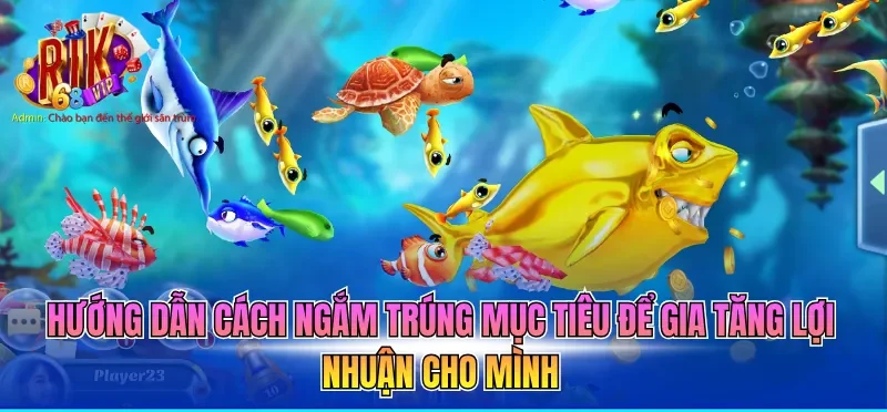 Hướng dẫn cách ngắm trúng mục tiêu để gia tăng lợi nhuận cho mình