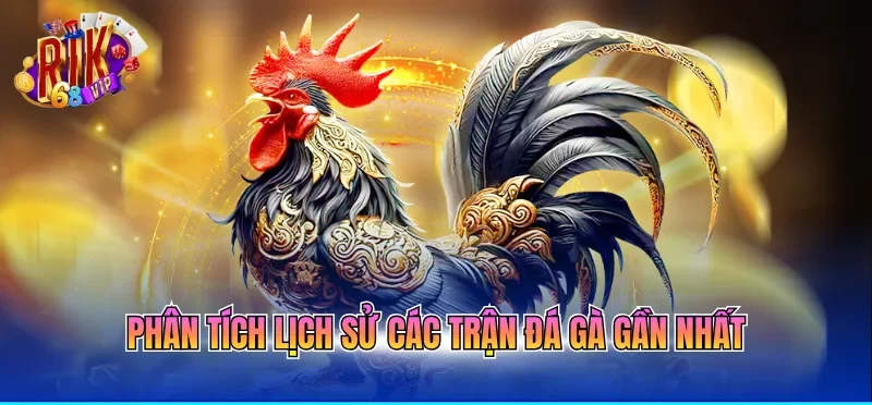 Phân tích lịch sử các trận đá gà gần nhất