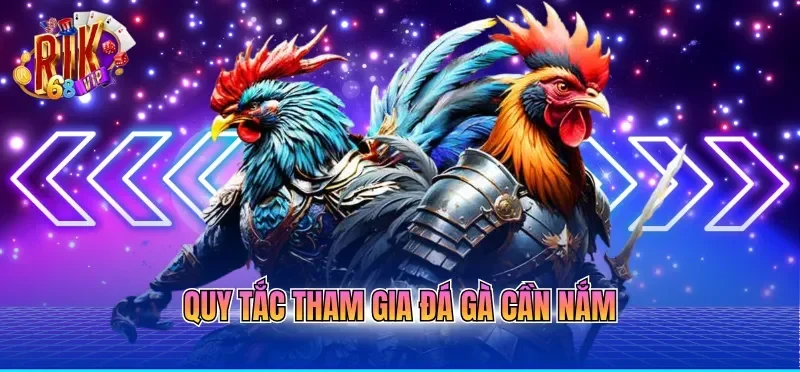 Quy tắc tham gia đá gà cần nắm