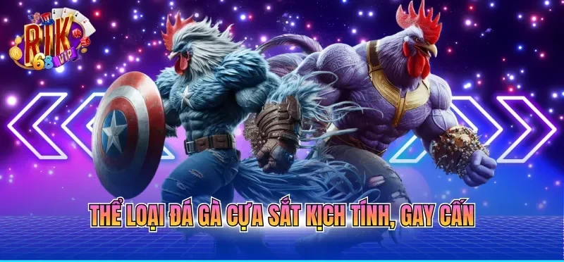 Thể loại đá gà cựa sắt kịch tính, gay cấn